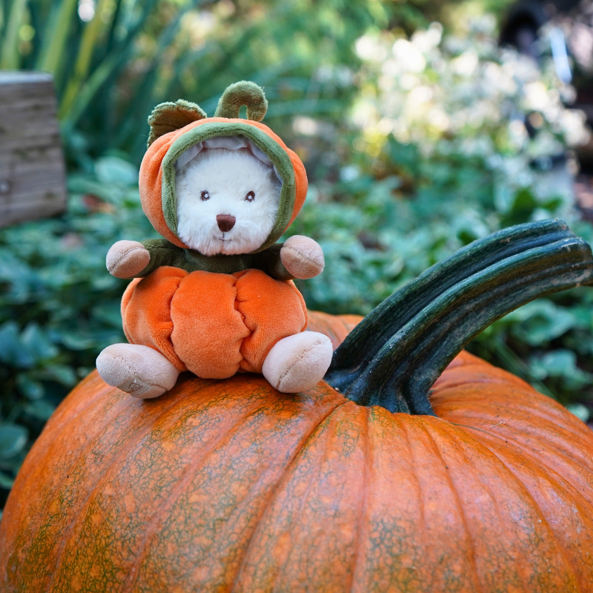 Peluche Bukowski Ziggy Pumpkin Citrouille – 15 cm